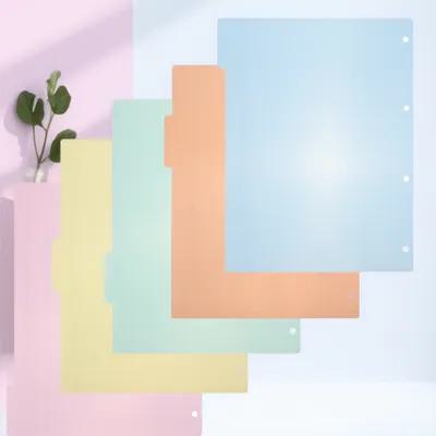 Tab Divider A4 - プロ仕様のプラスチック製インデックス・ディバイダー（仕切り）10個入り。多色展開。A4サイズに対応。スムーズに使用でき、オフィスでの整理に便利なインデックス・ラベル。